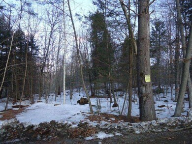 0 Parker Rd unit 201425381, Hadley, NY 12835 - photo 5