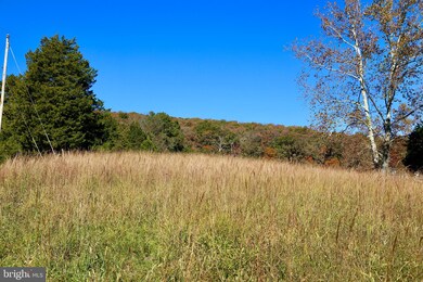 2263 State Road 259 N, Wardensville, WV 26851 - photo 5