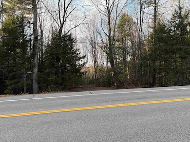 0 Cavender Rd unit 5, Hancock, NH 03449 - photo 4