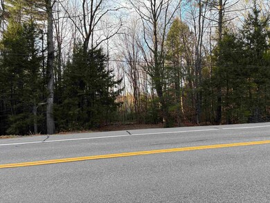 0 U S Highway 202 unit 5, Hancock, NH 03449 - photo 4