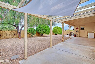 Backyard 2