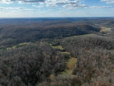 2938 Woods Prong Rd, Linden, TN 37096 - photo 4