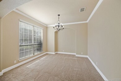 23923 Waterhole Ln, San Antonio, TX 78261 - photo 5