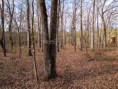 0 Jack Forrester Rd, Mantee, MS 39751 - photo 7