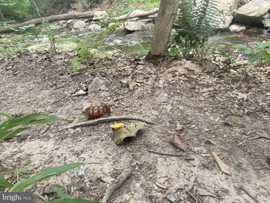 12325 Newcastle Loop, Woodbridge, VA 22192 - photo 5