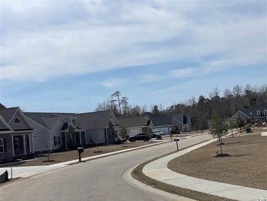 4217 Ridgewood Dr unit Ridgewood West, Conway, SC 29526 - photo 3