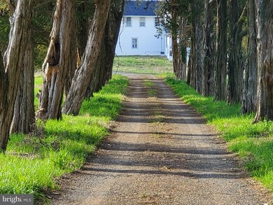 6020 River Rd, Bryans Road, MD 20616 - photo 4