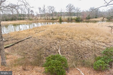 210 Mainbrace Dr, Queenstown, MD 21658 - photo 7