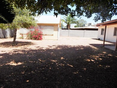 023-587781 - Backyard 4