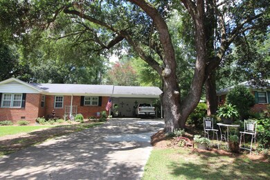 Shady Yard