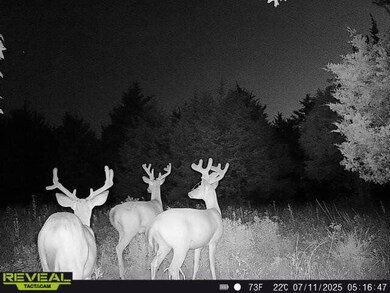 000 Highway M, Huggins, MO 65484 - photo 5