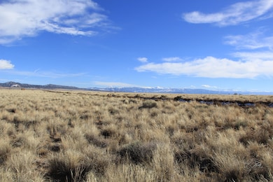 Meadowlark Rd, Crestone, CO 81332 - photo 2