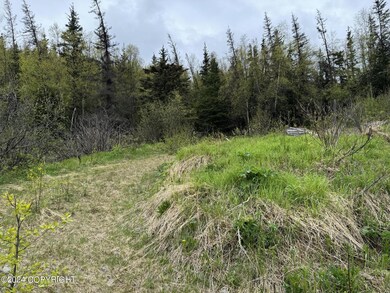 L3 B1 Timber Ridge