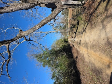 15 Bay Ln, Georgetown, GA 39854 - photo 2