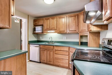 11001 Howland Dr, Reston, VA 20191 - photo 6