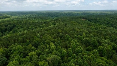 0 Old Mail Rd unit 24835045, Duck River, TN 38454 - photo 7