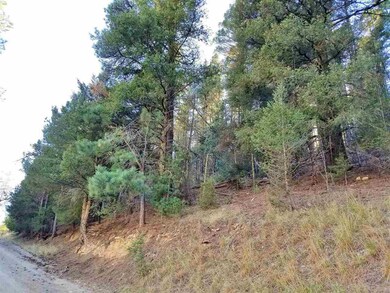 Lot 89 Wimsatt Loop, Cloudcroft, NM 88317 - photo 4