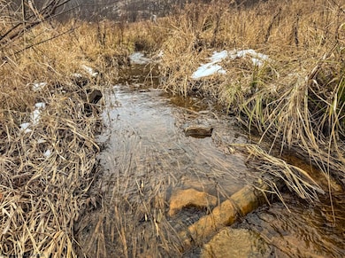 Lot 1 State Fork Rd, Metz, WV 26585 - photo 3