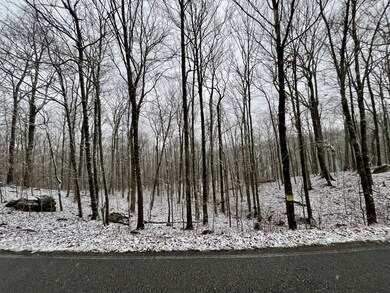 0 Sheep Bluff Rd unit RTC2480679, Cookeville, TN 38506 - photo 7