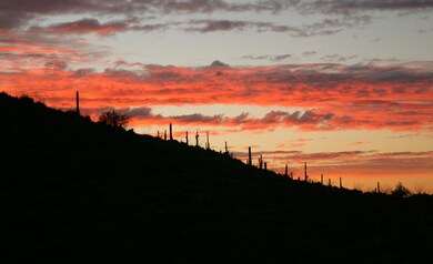 Sunset Skies