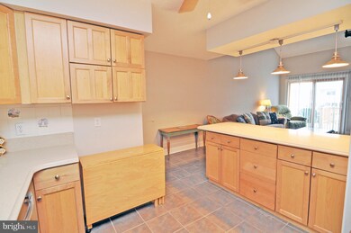 2819 Tern Dr unit 22C3, Ocean City, MD 21842 - photo 5