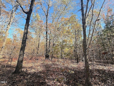 0 T Tarpey Ln, Sanford, NC 27330 - photo 7