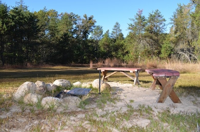 00 28th St, Everett Township, MI 49349 - photo 5