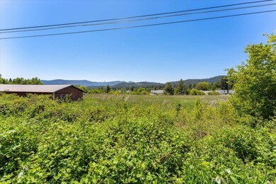 Parcel 1,2,3 Pine Field St, Mount Shasta, CA 96067 - photo 5