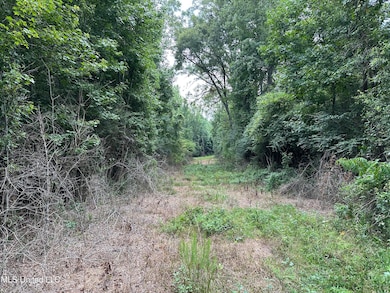 0 Stovall Ln, Summit, MS 39666 - photo 3