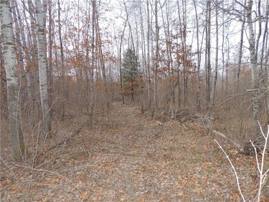 LOT 4 Minerva Dam Rd, Swiss, WI 54830 - photo 6