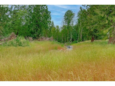 0 City View Blvd unit 24418666, Longview, WA 98632 - photo 7