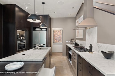 1180 Dale Ave unit 2, Aspen, CO 81611 - photo 4