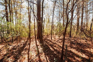 View of nature