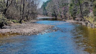 1141 Wafted Ln, Marshall, AR 72650 - photo 7