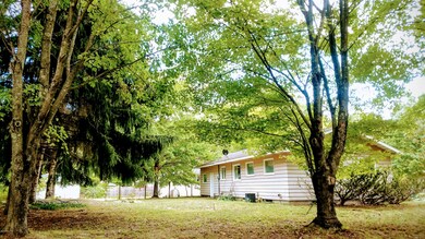 14314 Brooks St, Kaleva, MI 49645 - photo 3