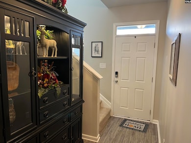 228 Bickley View Ct, Chapin, SC 29036 - photo 6