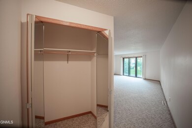 3333 Montreal St unit 304, Bismarck, ND 58503 - photo 3