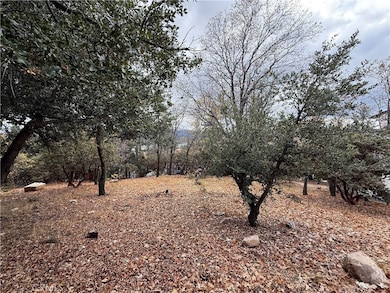 0 Yosemite Dr, Lake Arrowhead, CA 92352 - photo 7