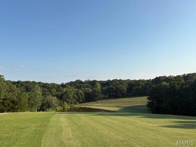 5752 Treebrook Dr, Hillsboro, MO 63050 - photo 5