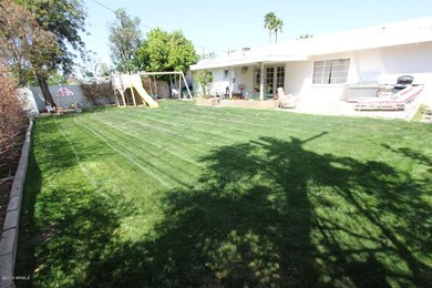 Back Yard 1