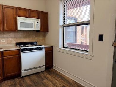 3722 N Sheffield Ave unit 3S, Chicago, IL 60613 - photo 5