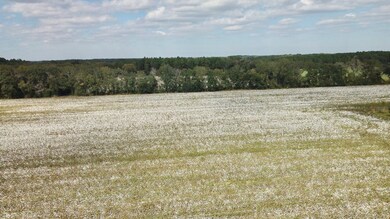 2864 McConnell Bridge Rd, Adel, GA 31620 - photo 7