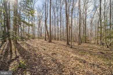 0 Dreamland Rd unit A VACU2002358, Jeffersonton, VA 22724 - photo 6