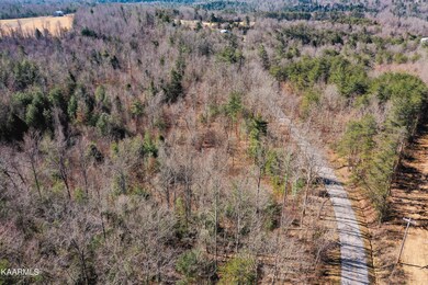 DJI_0365-2