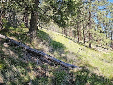 0 Lake Shore Rd unit 149390254, Outside City Limits, OR 97846 - photo 5