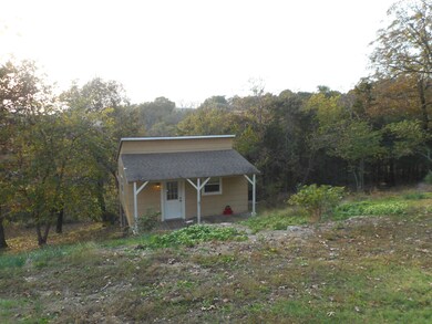 4109 Casey Rd Forsyth MO 65653 (2)