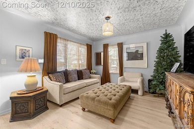 30706 Everett St, Southfield, MI 48076 - photo 3