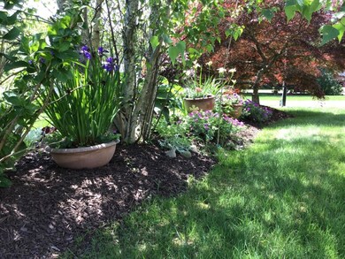 Setucket Garden 2
