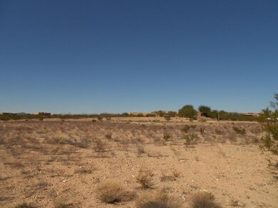 21675 W El Grande Trail unit 36, Wickenburg, AZ 85390 - photo 5