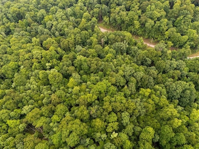 Lot 130 Laurel Loop, Bruceton Mills, WV 26525 - photo 4